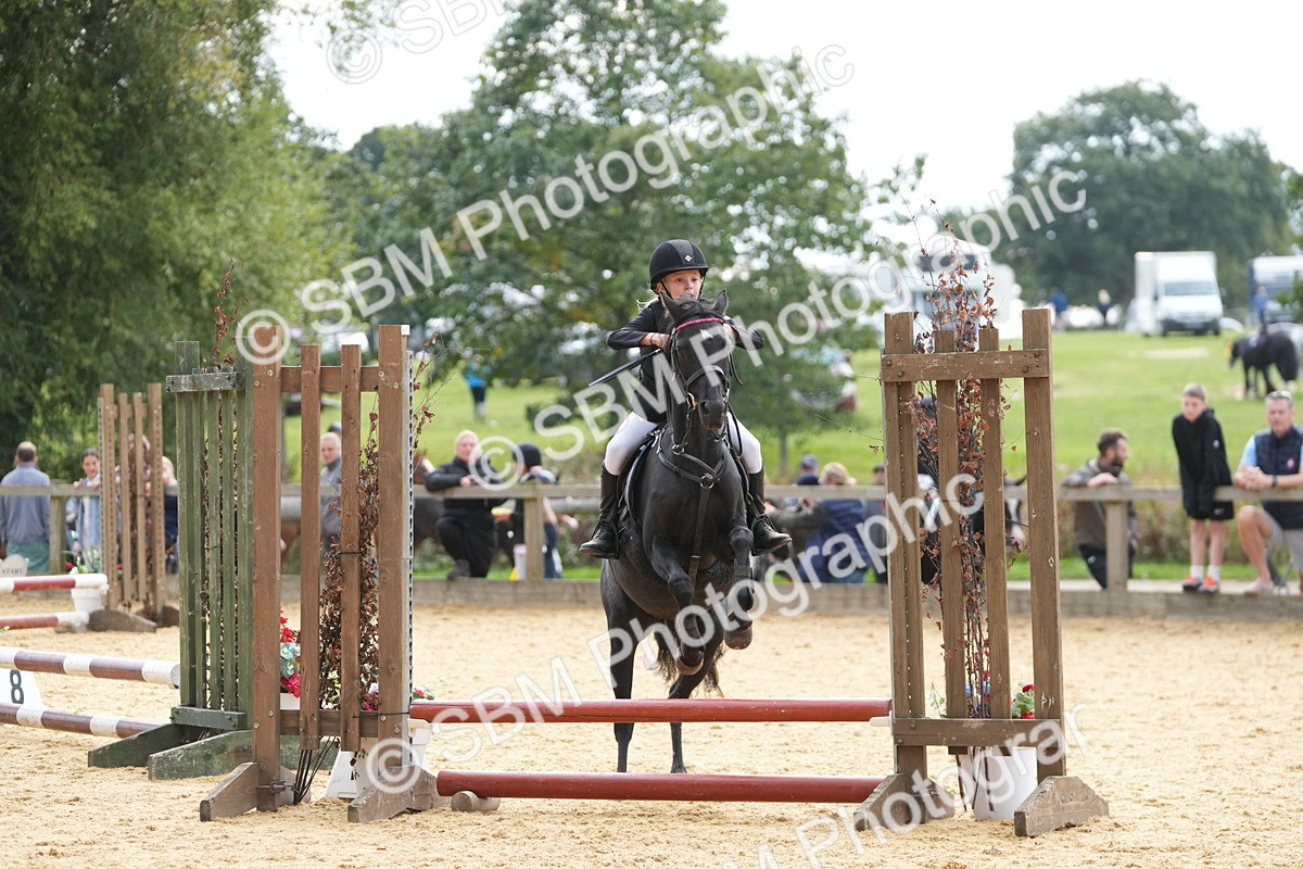 SBM_74718 - J4 - Mini Tour Junior Pony 45cm Championship