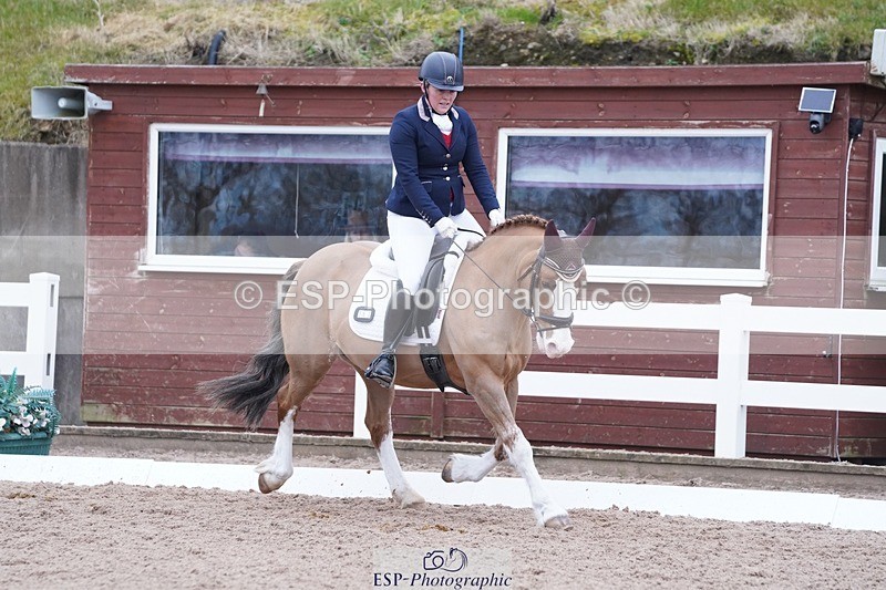 250214-094832-00074 - 167-Willow.Tarrant.Clark-Ashgrove.Wendi