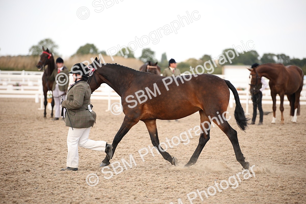 SBM_08218 - Class 27 - IH Competition Horse-Pony
