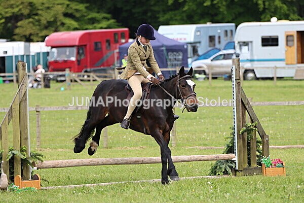 IMG_2477 - Working Hunter