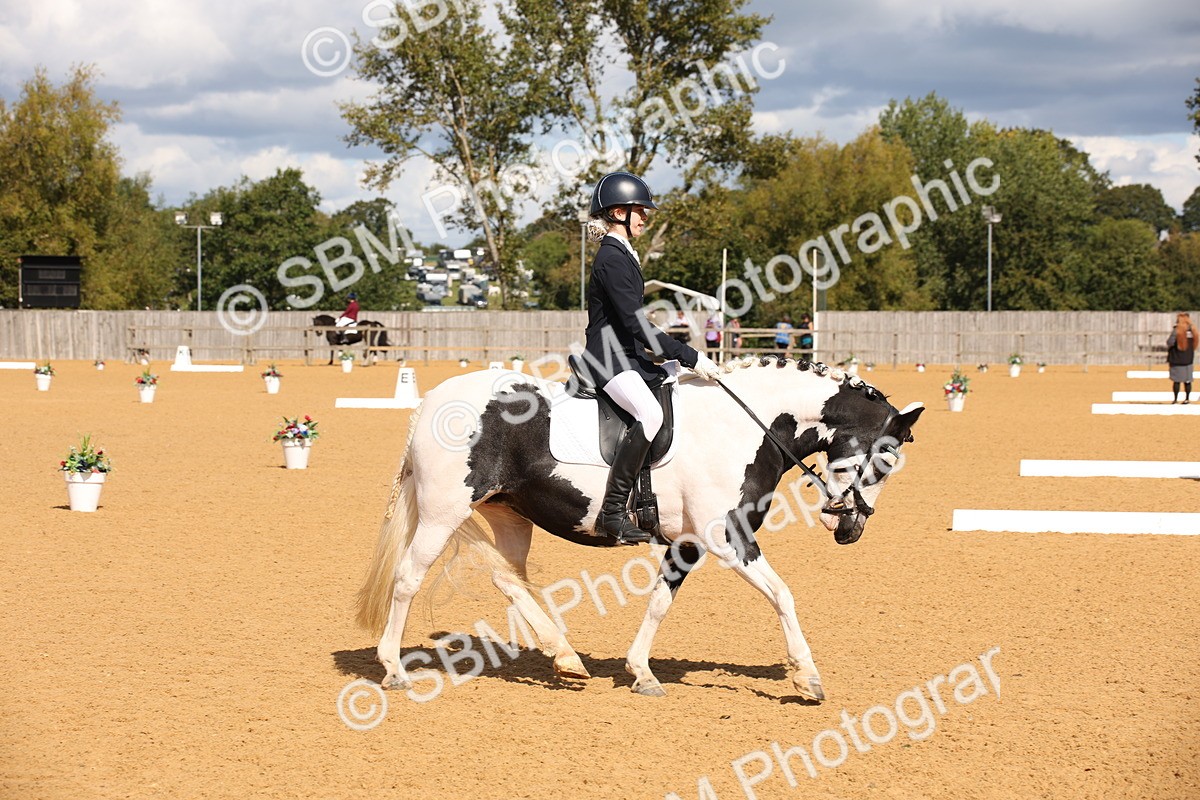 SBM_06640 - D8 Small Tour Championship Prelim 7