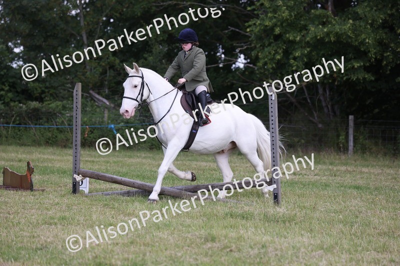 20260614-0771 - Class 20 - Beginners Working Hunter Pony