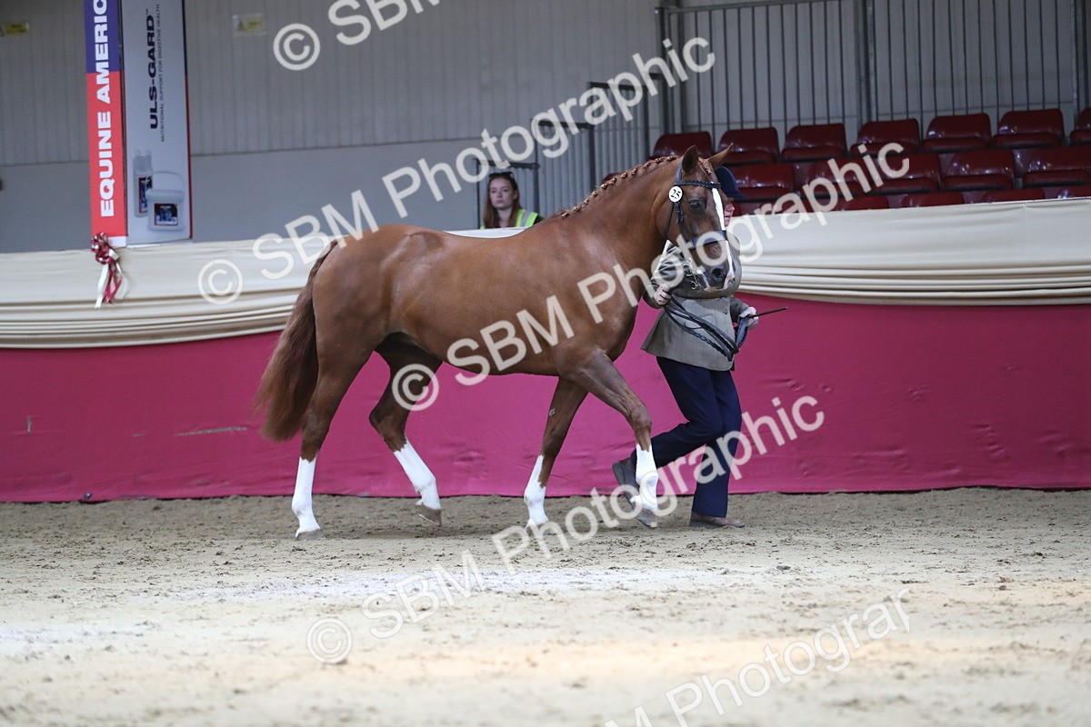 SBM_04338 - Class 7R Regional - IH Diamond