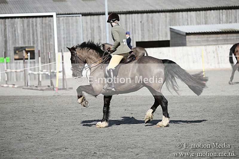 BVRC SJ 170319 536 - Bourne Valley Riding Club Showjumping 17/03/19