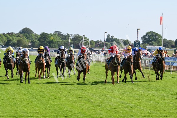110725-Race 6-Brazen Bolt-4648 - Race 6 5.07pm William Hill Keep Your Raceday Positive Handicap