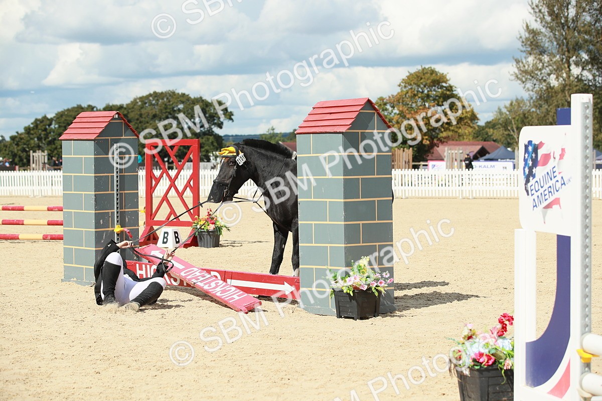 SBM_06228 - J29 Senior 65cm Championship
