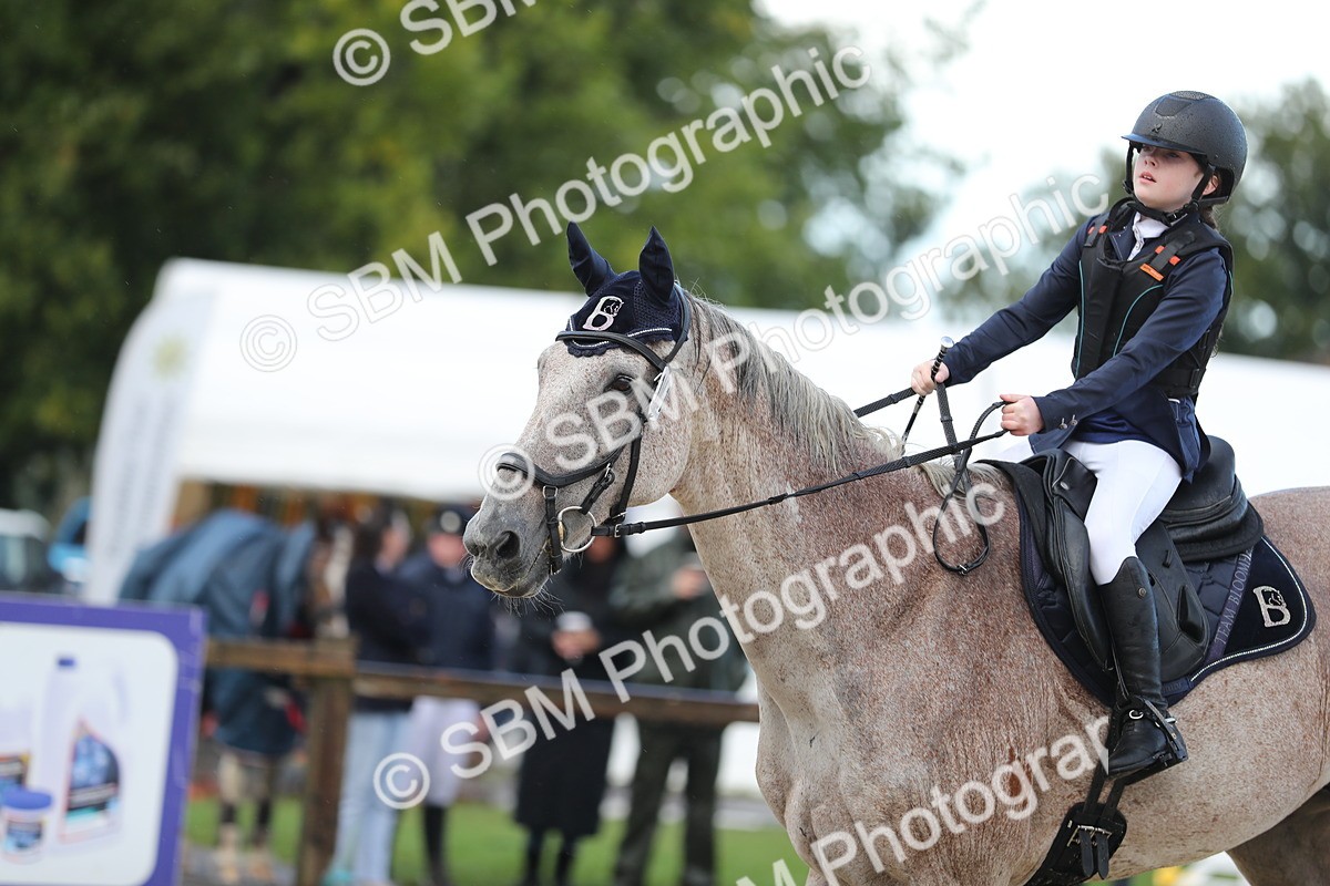 SBM_37242 - J20 - Junior Horse 50cm Championship