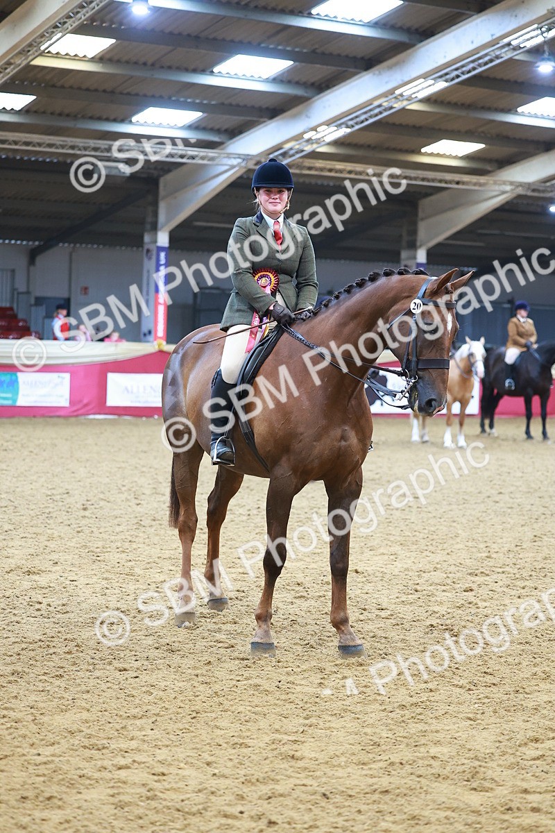 SBM_09857 - Class 102 - HOYS Veteran Qualifier - Ridden Veteran