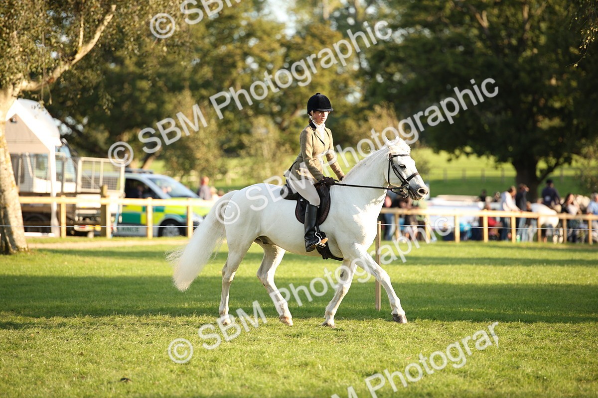 SBM_54451 - S27 - Mature Veteran - Ridden