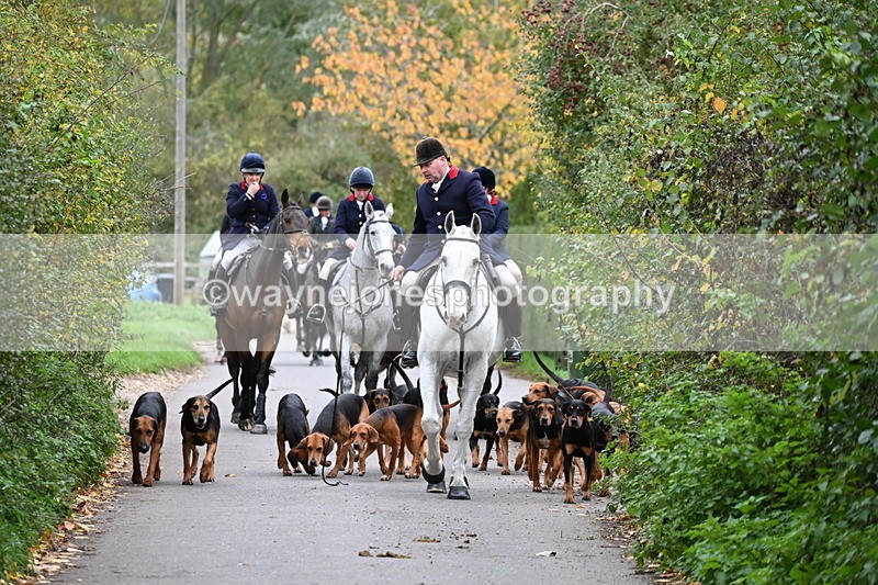 WJ6_8330 - Walk Home..