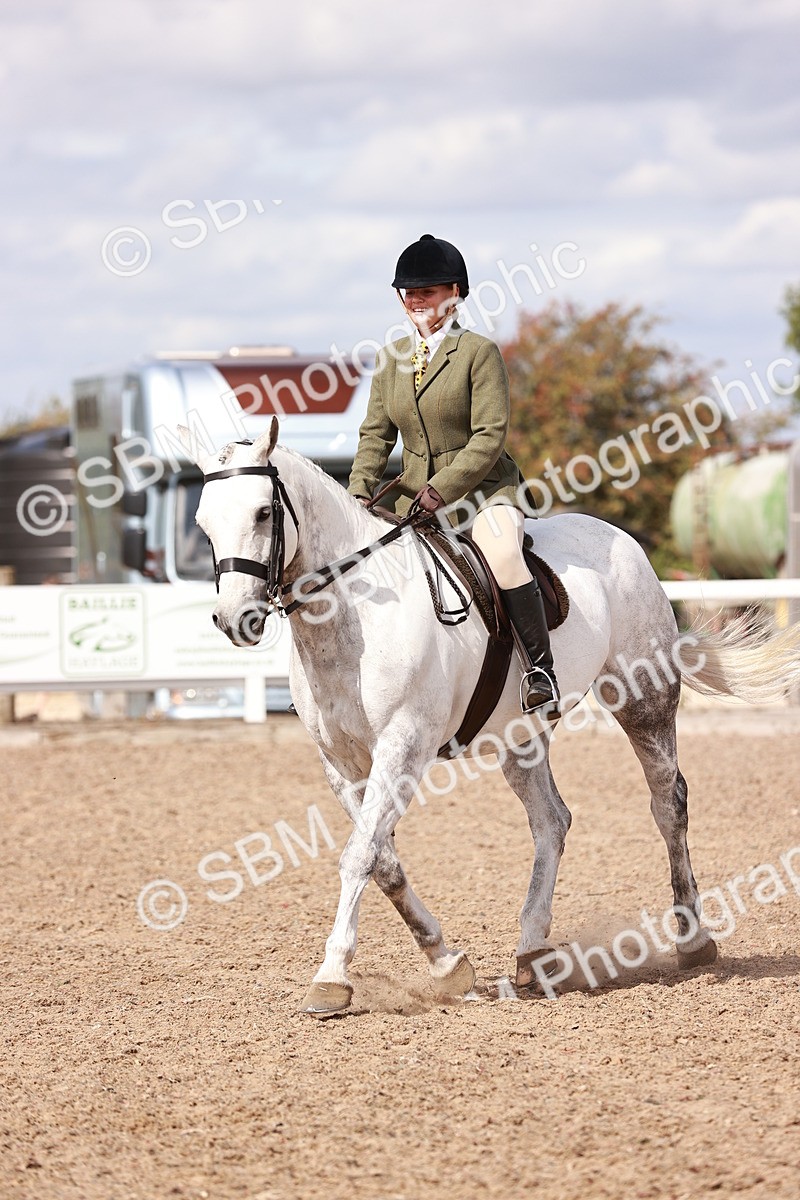 SBM_14441 - Class 410 - Grassroots Ridden - Horse