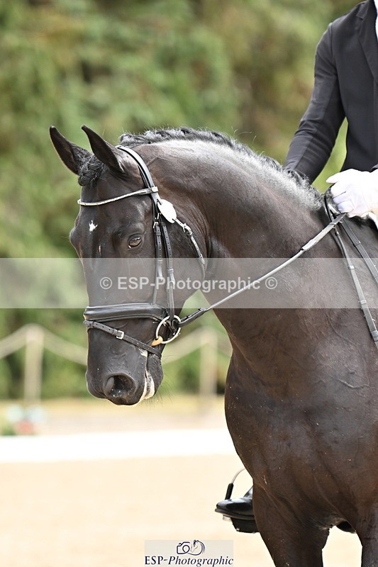 250808A-140536-00782 - 128-Joe.RoomeMonarchs.Way.Tobiah