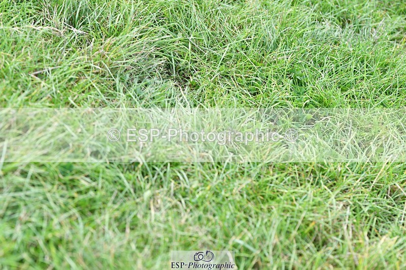 230817-141531-01220 - Theo's 1st Group - XC