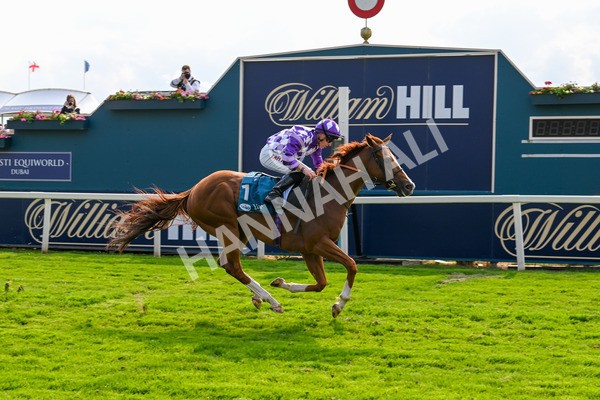 310525-Race 7-Mums Tipple-0355 - Race 7 5.00pm William Hill Best Odds Guaranteed Handicap