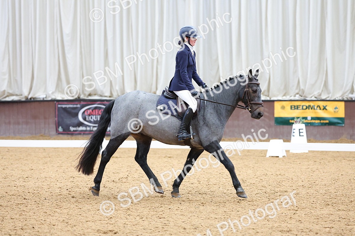 SBM_002578 - Novice
