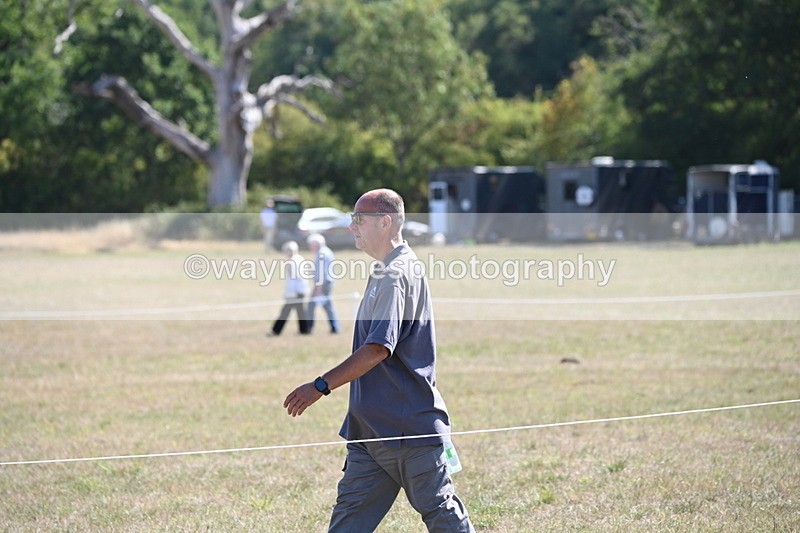 WJ6_7860 - Class 36 Lead Rein