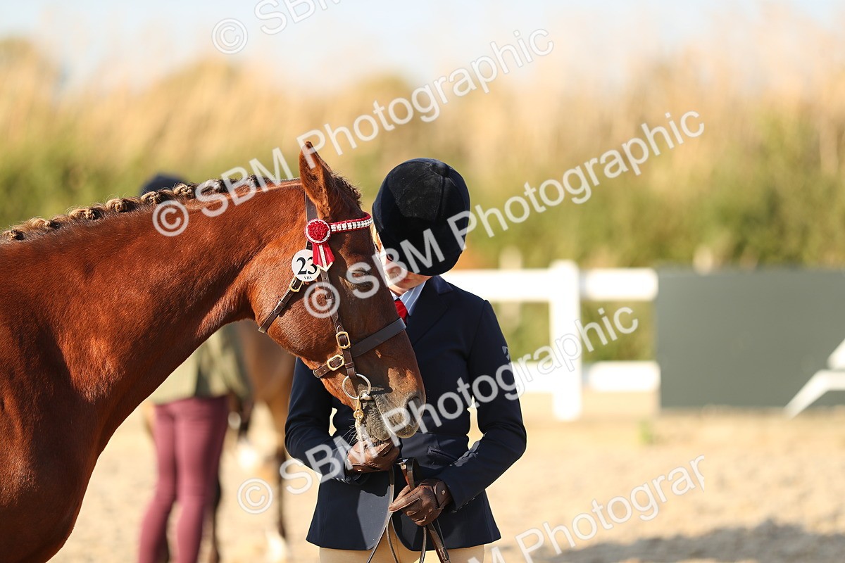SBM_08970 - Class 29 IH Veteran Pony