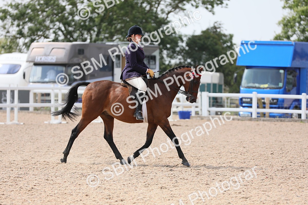 SBM_15583 - Class 311 Ridden Show Pony/ Show Hunter Pony