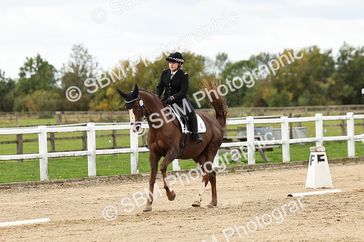 SBM_004540 - Class 69 - Novice 2