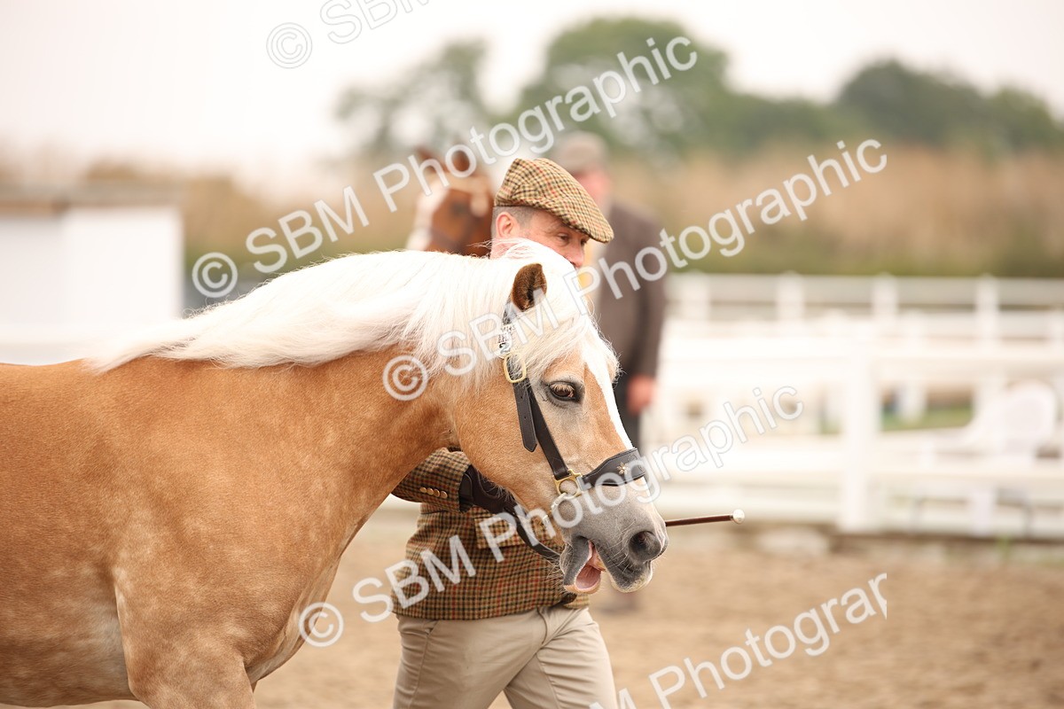 SBM_22130 - Class 707 - Ridden Groom-Helpers Class