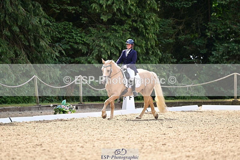 260802A-111423-05750 - Novice Silver break - break