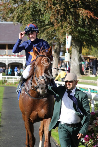 yr08102022r3-55 - Race 3 2.40pm The Coral 'Beaten-by-a-Length' Free Bet Handicap