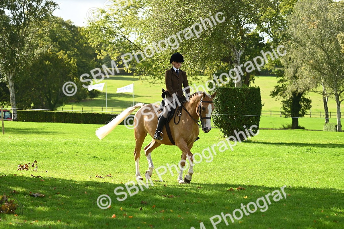 SBM_01539 - S2 - TSR Ridden Horse Showing