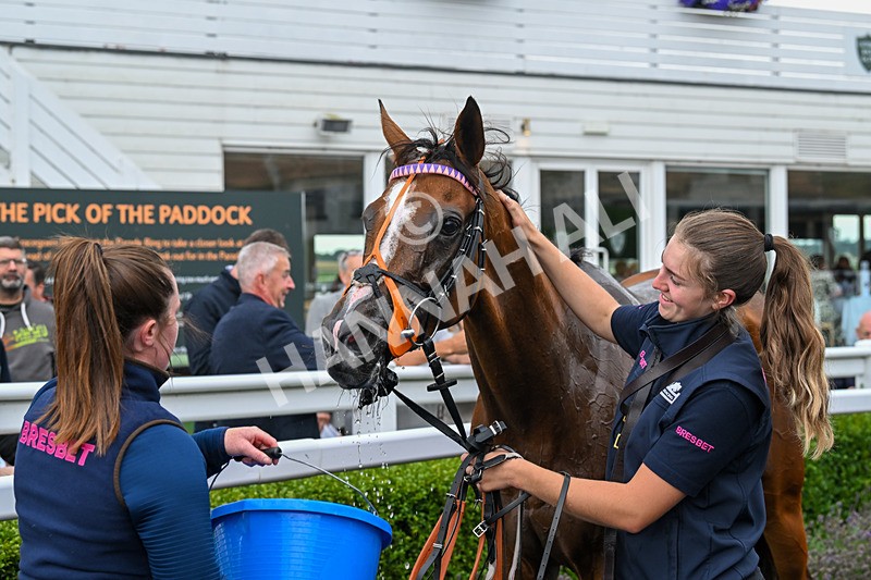 190824-Race 1-Shes A Novelty-3325 - Race 1