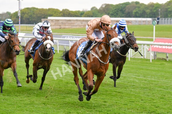 yr14052021r1-21 - Race 1 1.40pm Langleys Solicitors British EBF Marygate Fillies' Stakes