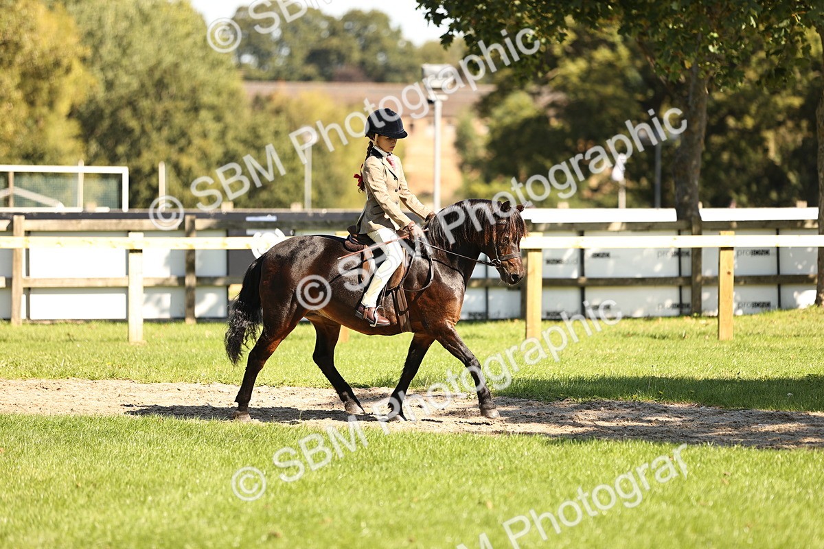 SBM_19247 - S3 - TSR Ridden Pony Showing