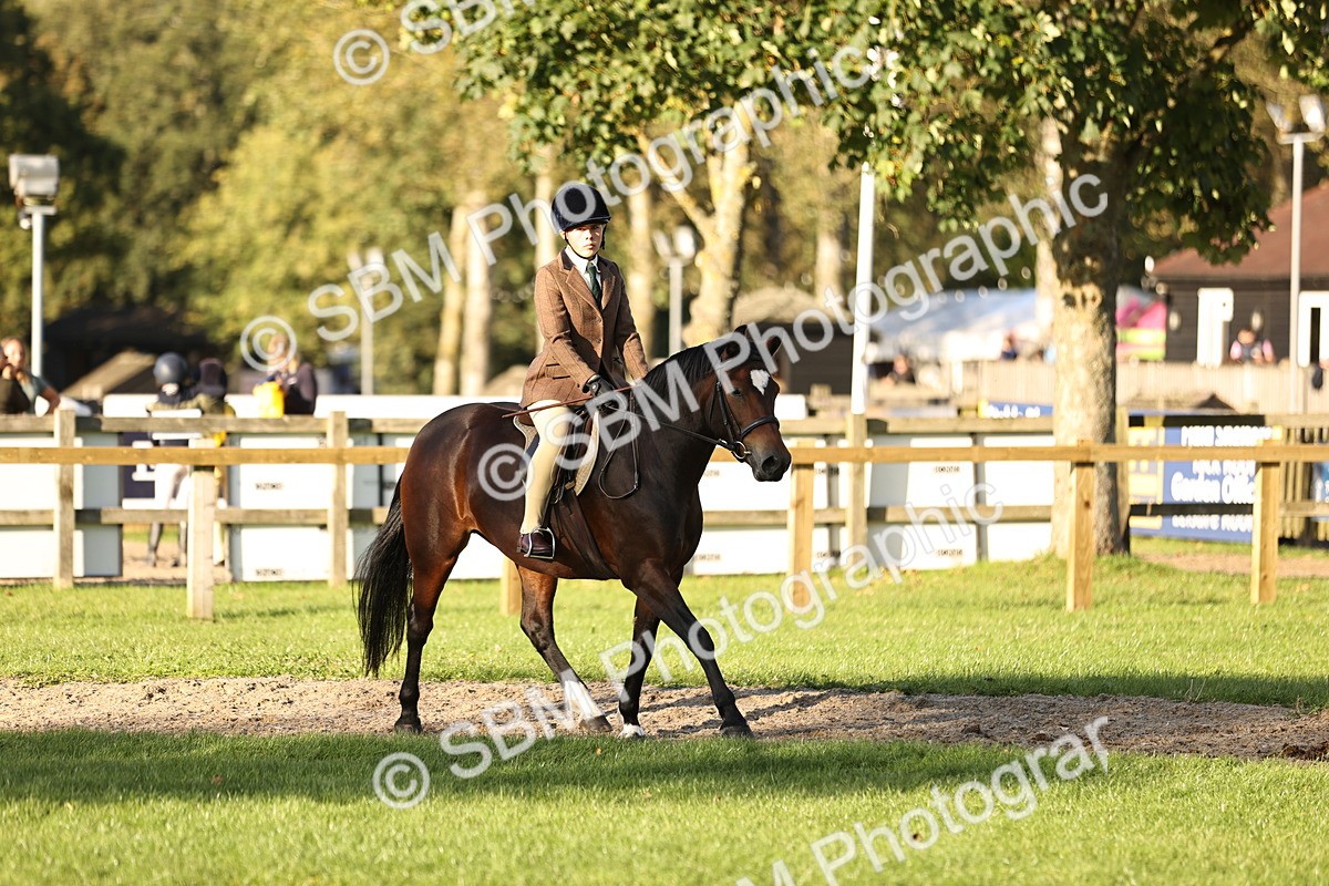 SBM_29613 - S7 - Novice & Newcomers Ridden Pony