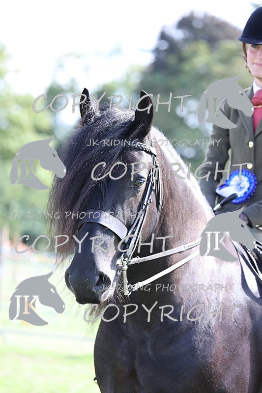 APP_3709 - Class 12 M&M ridden