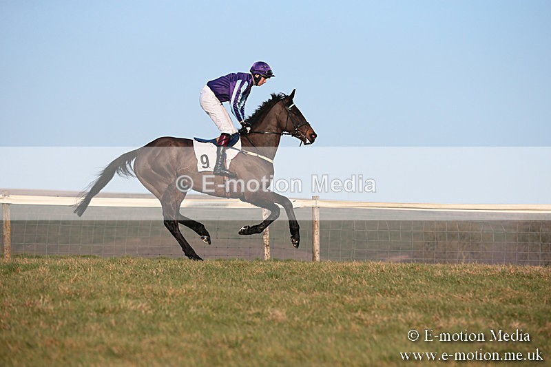PtP 230219 604 - Vine & Craven Point-To-Point - Barbury 23/02/19