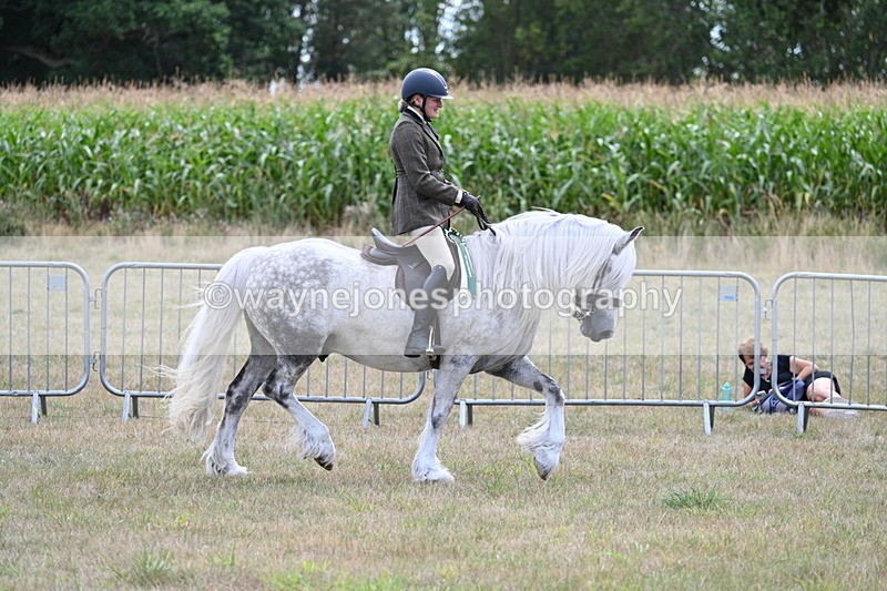 WJ7_5581 - Class 12 Ridden Cob