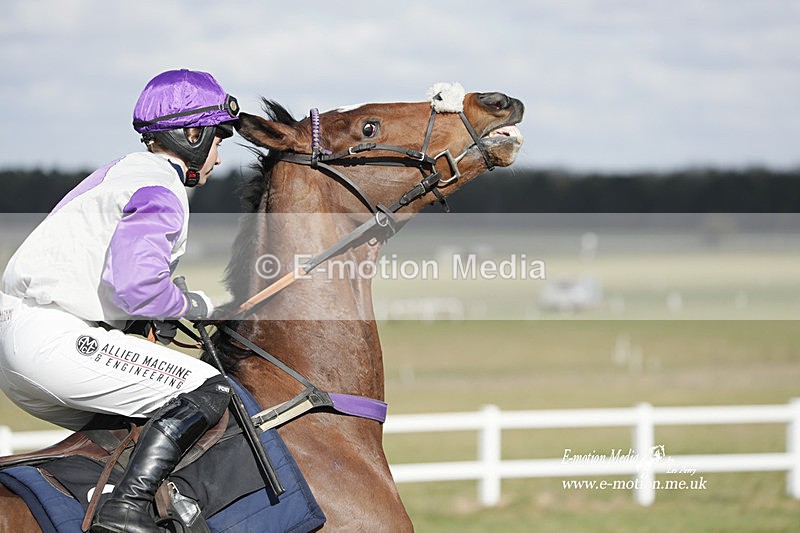 PtP 260223 390 - South & West Wilts Point-to-Point Larkhill 26/02/23
