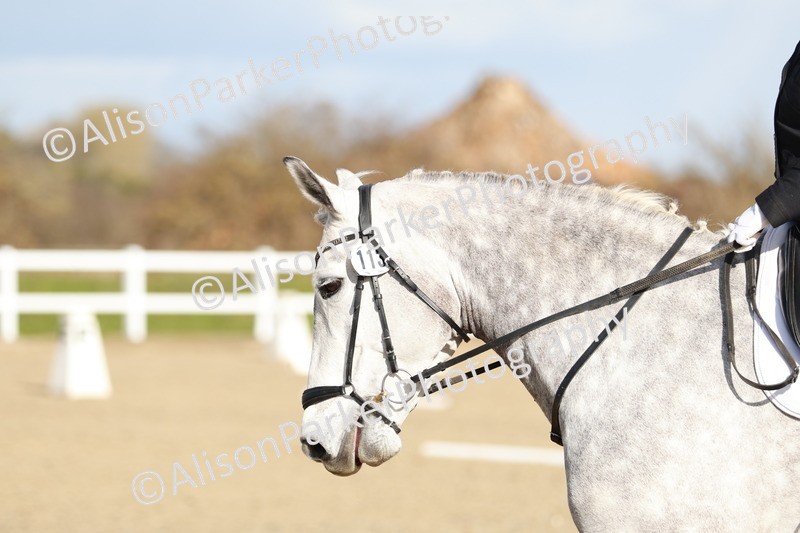 20260314-4483 - DR4 - Prelim 2