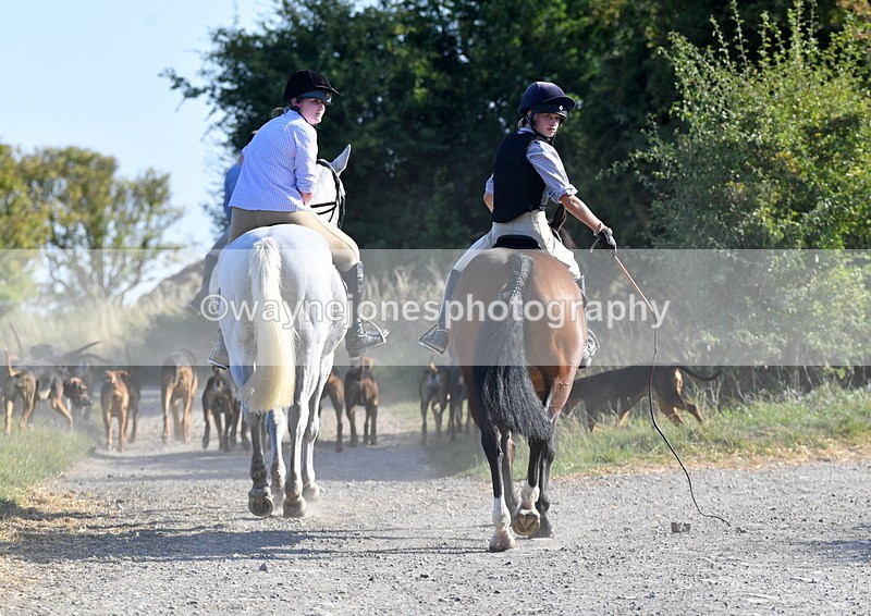 WJ5_4839 - Walk out with the hounds