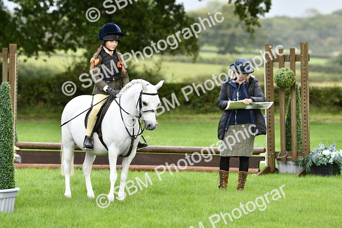 SBM_35447 - S30 - Nursery Stakes Working Hunter Pony