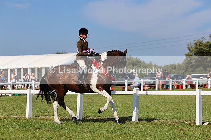 IMG_1685 - Skewbald and Piebald Ridden Championship