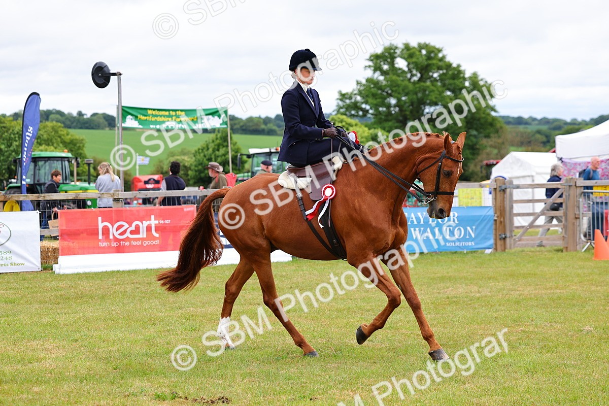 SBM_02788 - Class 9-11 Side Saddle including LIHS Rising Star Ladies Show Horse