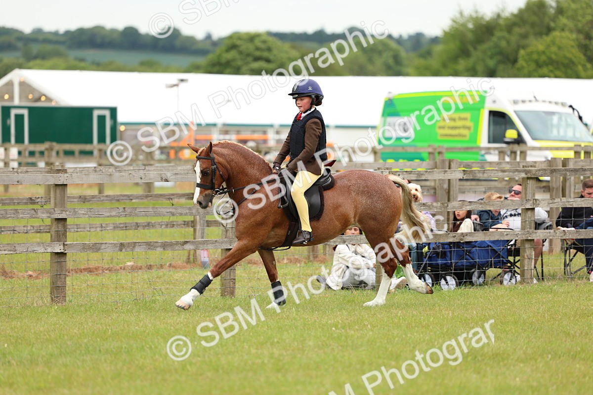 SBM_10273 - Class 44-45 - LIHS BSPS Open Nursery and Cradle Stakes