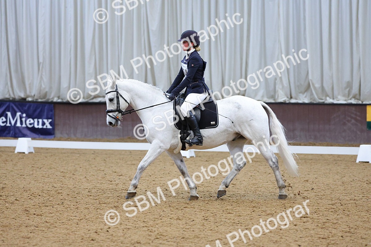 SBM_004176 - Intermediate