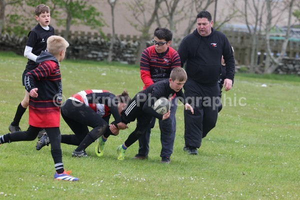 DAD22494 - Rookies/Mini Rugby on 7s Day