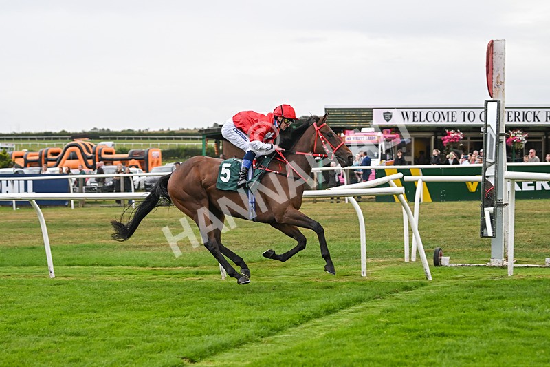 270825-Race 2-Rogue Attraction-4869 - Race 2