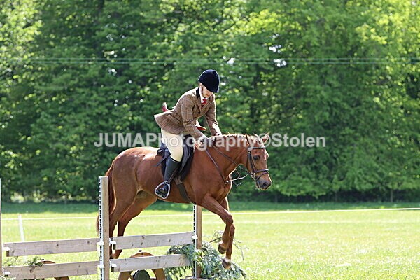 IMG_3797 - Working Hunter