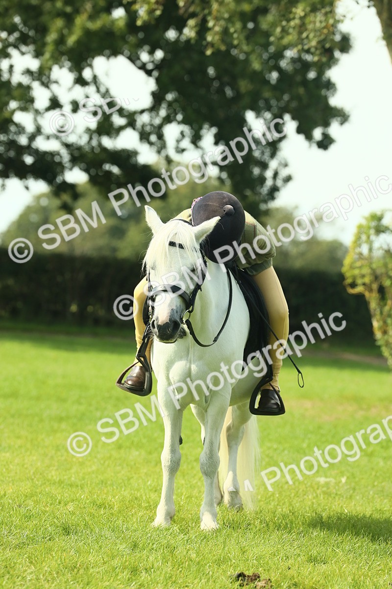 SBM_66573 - S34 - Rehabilitated Rescue Horse & Pony In Hand & Ridden