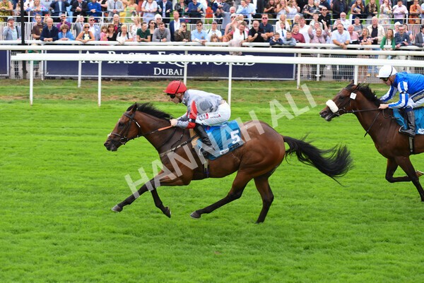 yr04092022r1-39 - Race 1 1.45pm IRE Incentive, It Pays To Buy Irish EBF Novice Stakes