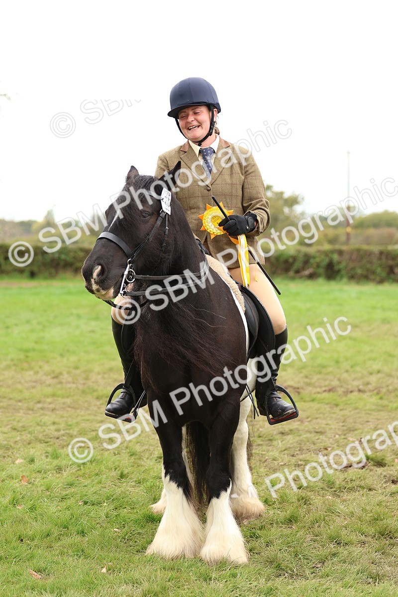 SBM_64674 - S58 - Coloured Pony Ridden