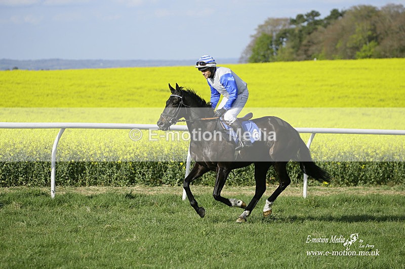 PtP 180422 366 - Old Berkshire PtP Lockinge 18/04/22