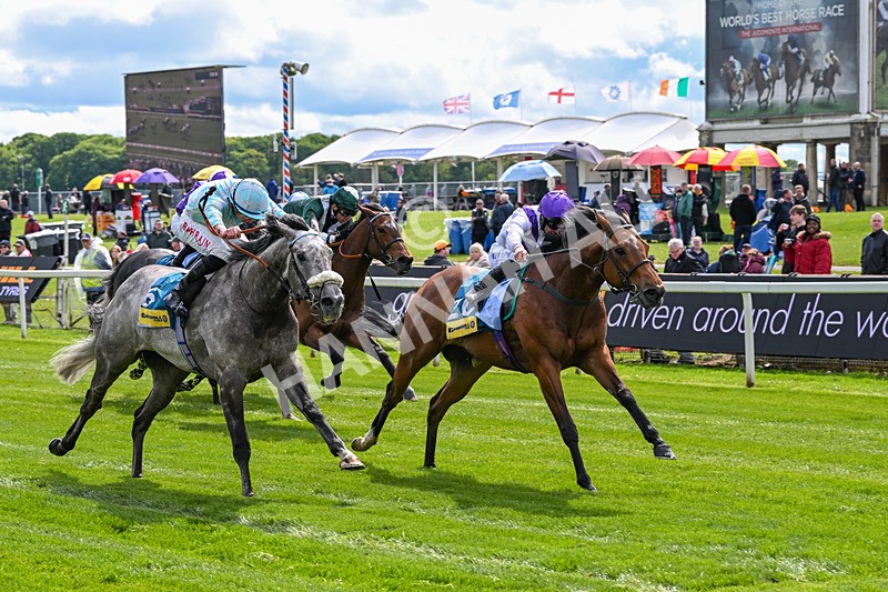 130526-Race 3-Dark Thirty-2798 - Race 3 2.55pm Churchill Tyres Handicap